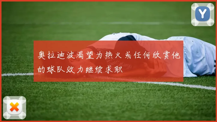 奥拉迪波渴望为热火或任何欣赏他的球队效力继续求职